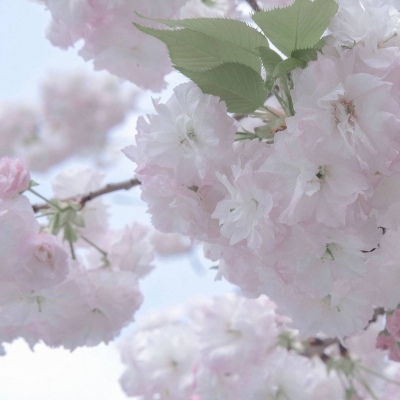 兽设比例设计入门福瑞交流群